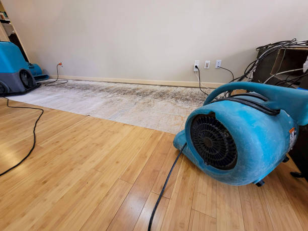 Professional Water Damage Repair technician working in Moorpark, CA